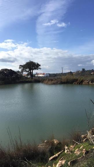 Herdade Da Maridona - Agroturismo Эштремош Экстерьер фото